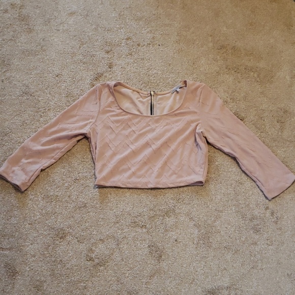 Charlotte Russe Tops - Textured Pink Crop Top